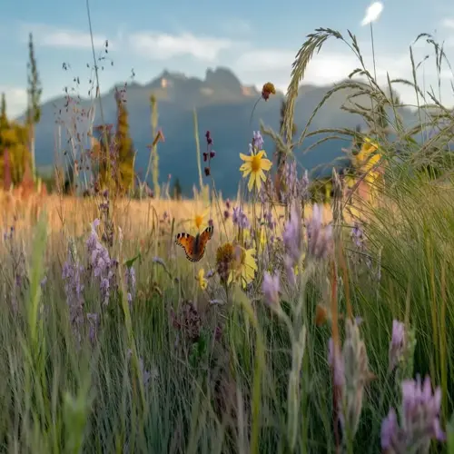 butterfly among grasses in a native wildflower meadow with mountains in the background
