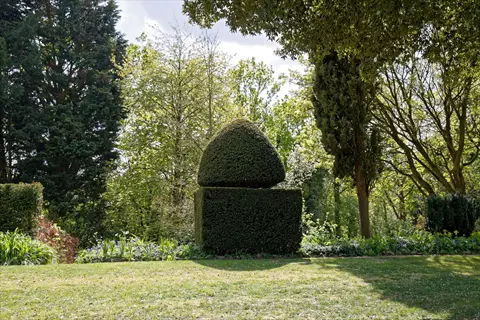 english yew topiary shaped into geometric hedges in a sunlit garden