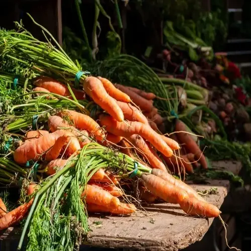 fresh garden carrots piled on a rustic wooden market table