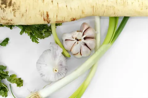 leaf cutting celery with garlic, scallions, and parsnip on a white surface