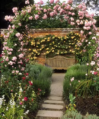 pink climbing rose arbor frames a garden path to a bench in a lush flower garden