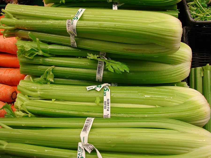 Celery