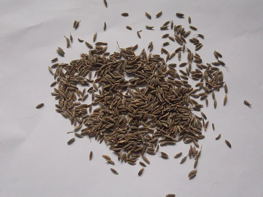 Cumin