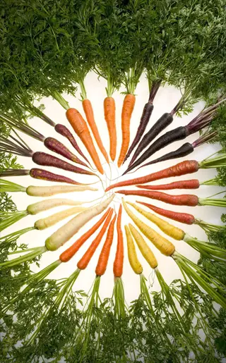 rainbow carrots colorful arranged in a spiral with leafy green tops