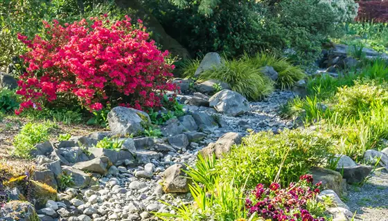rock garden with dry creek, pink blooms, grasses, rocks, and vine groundcover slope