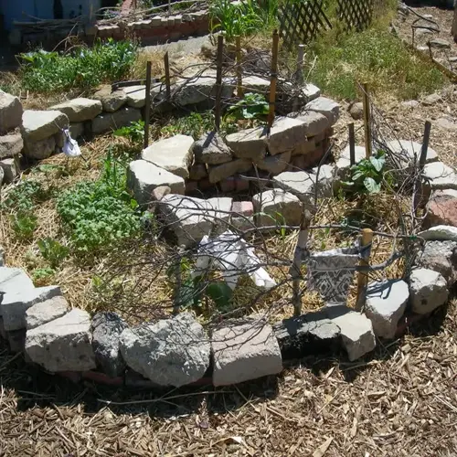 stone keyhole garden bed with herbs, mulch, and twig supports in a sunny garden